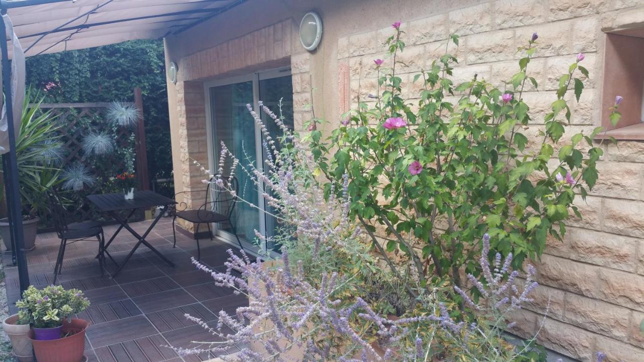 La Villa Des Violettes Toulouse Exteriör bild