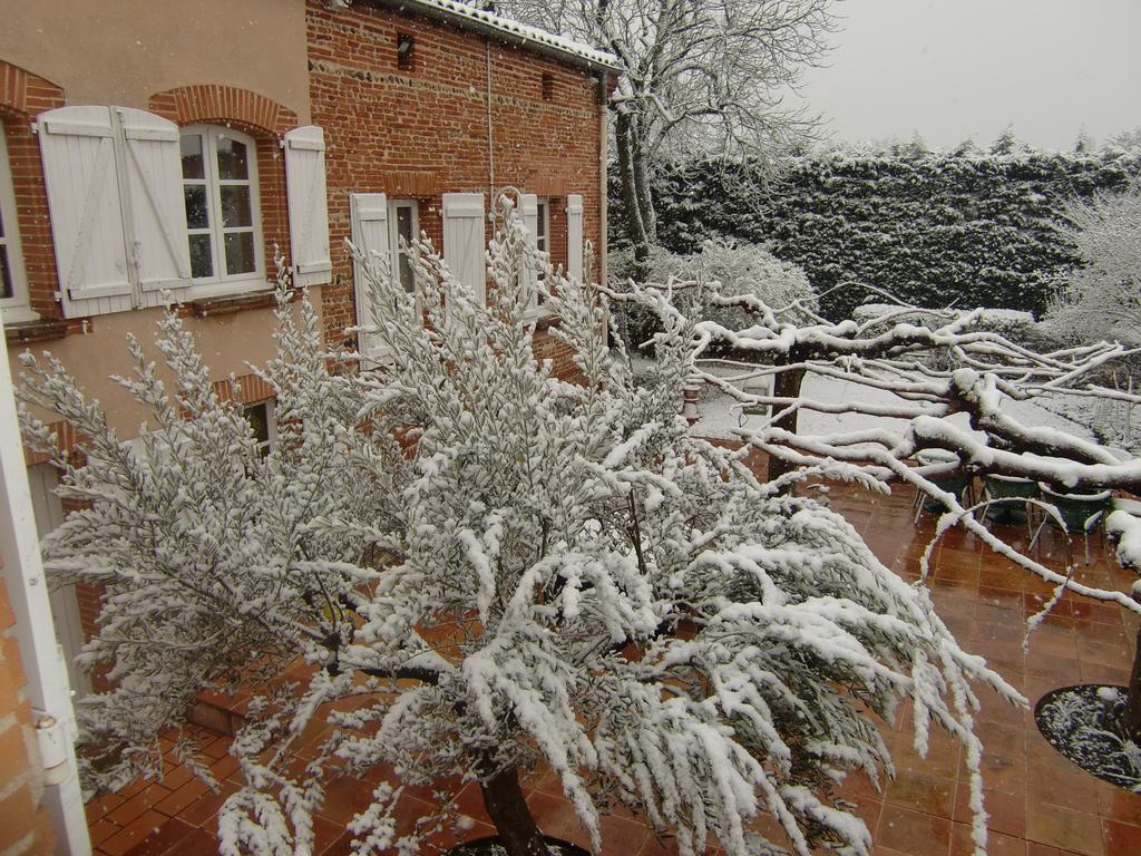 La Villa Des Violettes Toulouse Exteriör bild