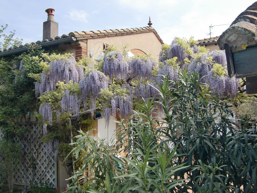 La Villa Des Violettes Toulouse Exteriör bild