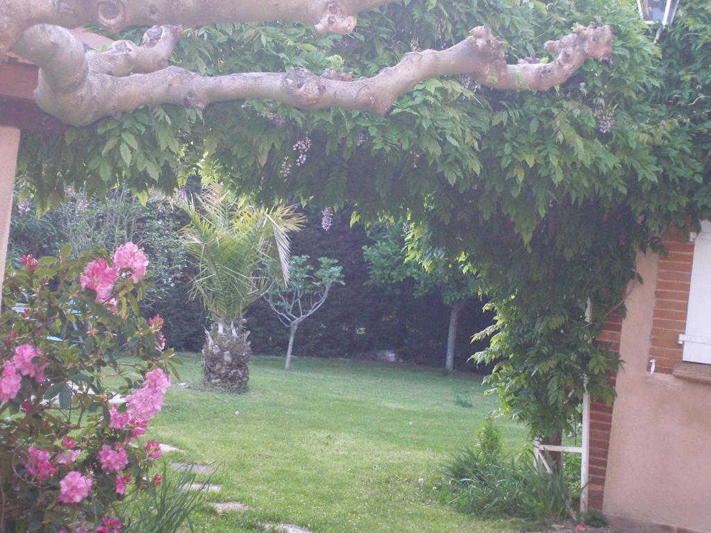 La Villa Des Violettes Toulouse Rum bild